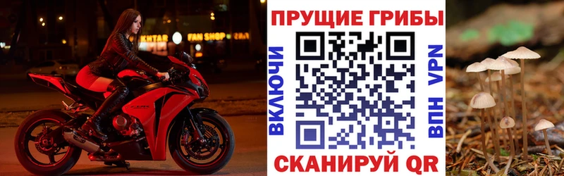 Галлюциногенные грибы ЛСД  Купить закладки  Урус-Мартан 